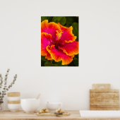 Hawaiianischer Fuchsien und Orangefarbener Hibisku Poster (Küche)