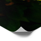 Hawaiianischer Hibiskus Poster (Ecke)