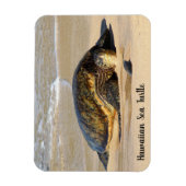 Hawaiianischer Meeresschildkröte auf dem Sand Magnet (Vertikal)