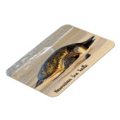 Hawaiianischer Meeresschildkröte auf dem Sand Magnet (Linke Seite)