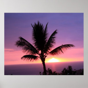 Hawaiianischer Palmenbaum und farbiger Sonnenunter Poster