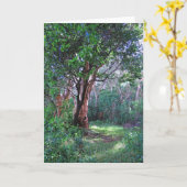 Hawaiianischer Regenwald Karte (Gelbe Blume)