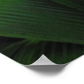 Hawaiianischer Regenwald Poster (Ecke)