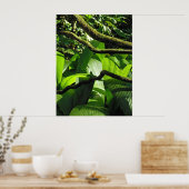 Hawaiianischer Regenwald Poster (Küche)