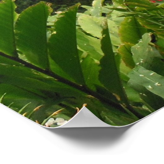 Hawaiianischer Regenwald Poster (Ecke)