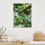 Hawaiianischer Regenwald Poster (Küche)