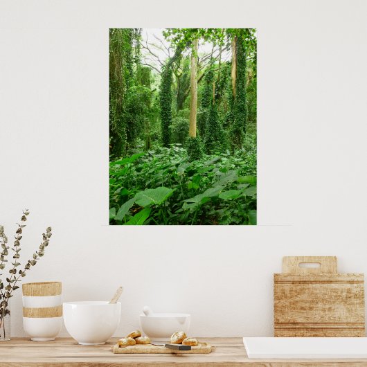 Hawaiianischer Regenwald Poster (Küche)