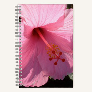 Hawaiianischer Rosa Hibiskus Fine Art Foto Notizblock