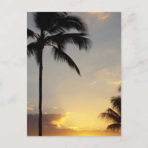 Hawaiianischer Sonnenaufgang Postkarte