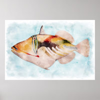 Hawaiianischer Triggerfisch
