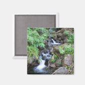 Hawaiianischer Tropenstrom Magnet (Vorderseite/Rückseite)