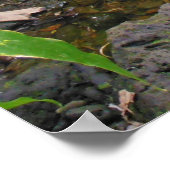 Hawaiianischer Tropenstrom Poster (Ecke)