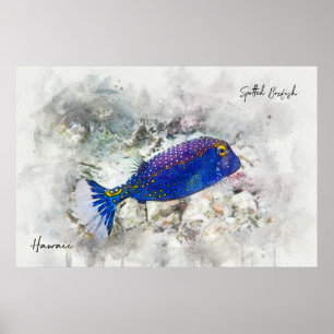 Hawaiianischer Tropischer Fisch - Wasserfarbe Boxf Poster