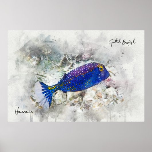 Hawaiianischer Tropischer Fisch Wasserfarbe - Boxf Poster (Vorne)