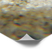 Hawaiianischer Urchin Poster (Ecke)