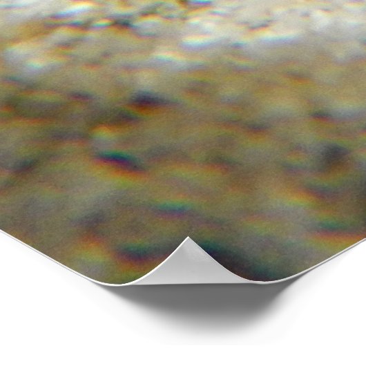 Hawaiianischer Urchin Poster (Ecke)