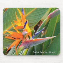 Hawaiianischer Vogel der Paradise Mouse Pad