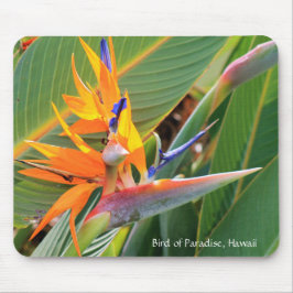 Hawaiianischer Vogel der Paradise Mouse Pad Mousepad