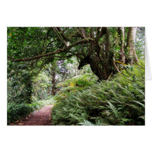 Hawaiianischer Wanderweg