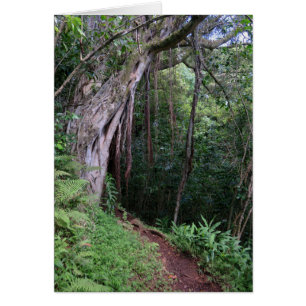 Hawaiianischer Wanderweg