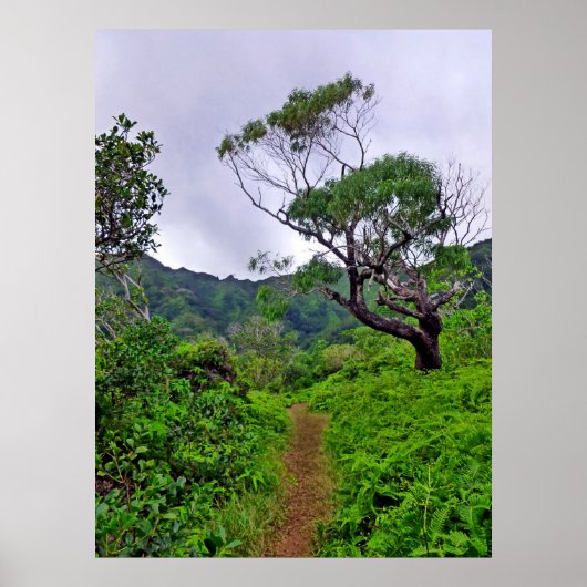 Hawaiianischer Wanderweg Poster (Vorne)