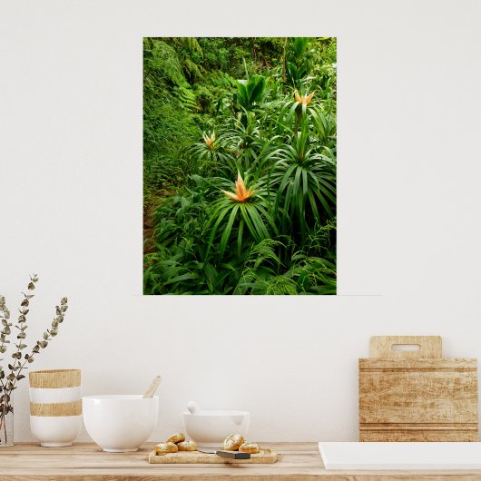 Hawaiianischer Wanderweg Poster (Küche)