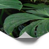 Hawaiianischer Wanderweg Poster (Ecke)