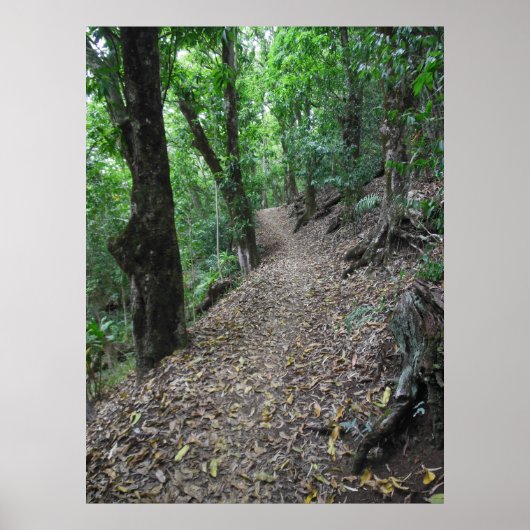 Hawaiianischer Wanderweg Poster (Vorne)