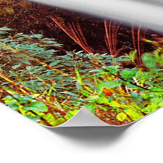 Hawaiianischer Wasserfall Poster (Ecke)