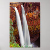 Hawaiianischer Wasserfall Poster (Vorne)