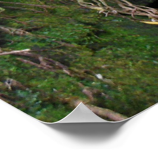 Hawaiianischer Wasserfall Poster (Ecke)