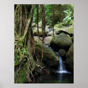 Hawaiianischer Wasserfall Poster