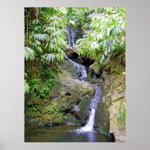 Hawaiianischer Wasserfall Poster