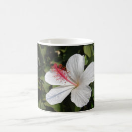 Hawaiianischer Weißer Hibiskus Kaffeetasse