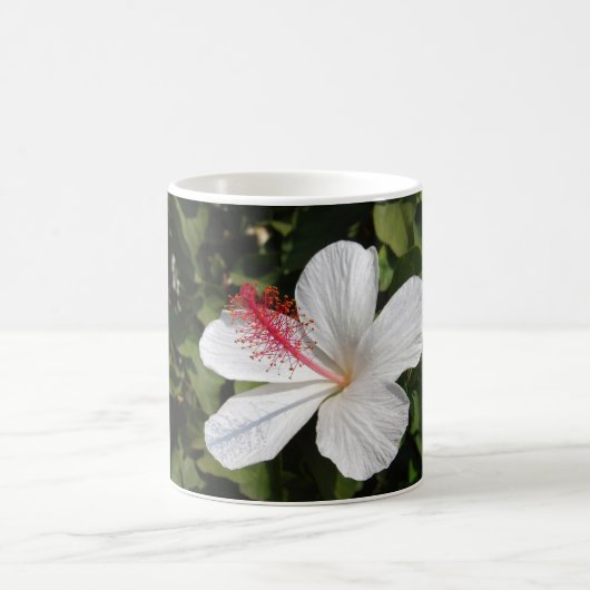 Hawaiianischer Weißer Hibiskus Kaffeetasse (Mittel)