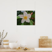 Hawaiianisches Blumenposter Poster (Küche)