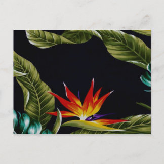Hawaiianisches Design Postkarte