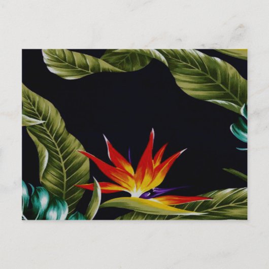 Hawaiianisches Design Postkarte (Vorderseite)