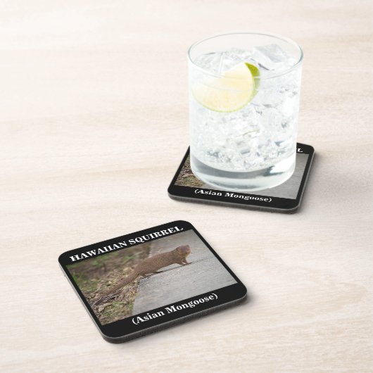 Hawaiianisches Eichhörnchen (asiatische Mongolenar Untersetzer (Rechte Seite)