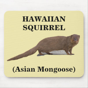 Hawaiianisches Eichhörnchen (Asiatische Mongolenfi Mousepad