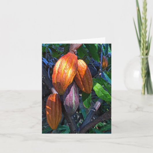 Hawaiianisches Kakao Karte (Vorderseite)