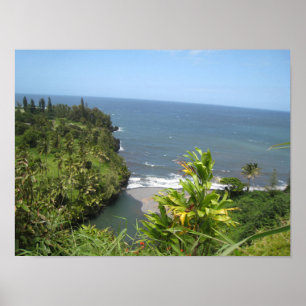 Hawaiianisches Küstenposter Poster