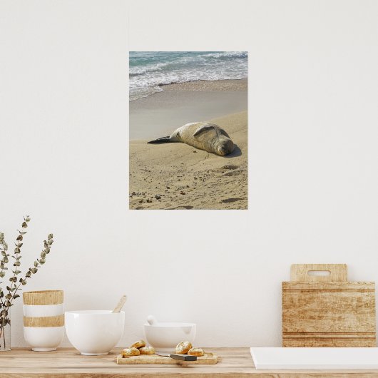 Hawaiianisches Mönch-Siegel Poster (Küche)