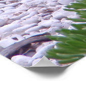 Hawaiianisches Mönch-Siegel Poster (Ecke)