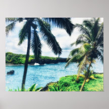 Hawaiianisches Szenenposter