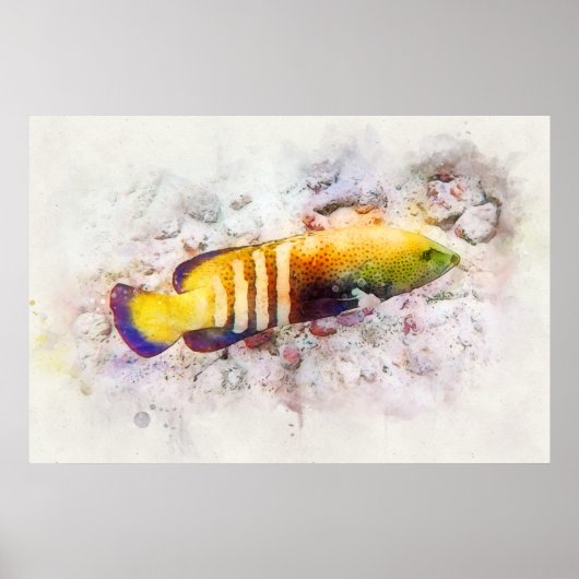Hawaiianisches tropisches Fischwasser - Grouper Poster (Vorne)
