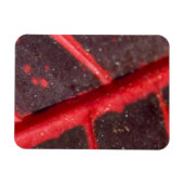 Hawaiianisches variegiertes rotes Leaf Magnet (Horizontal)
