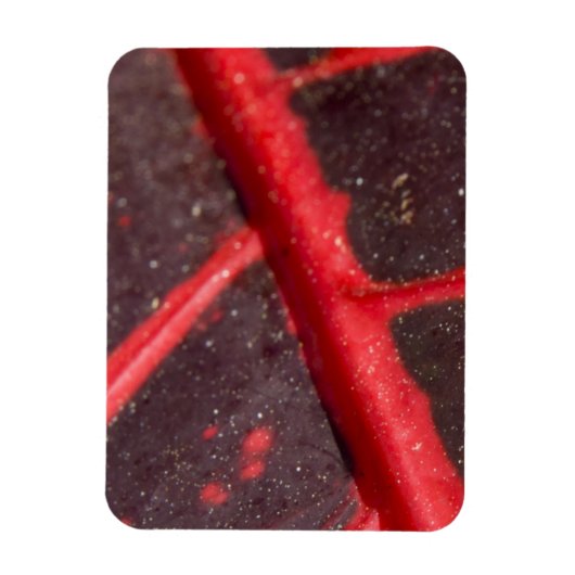 Hawaiianisches variegiertes rotes Leaf Magnet (Vertikal)