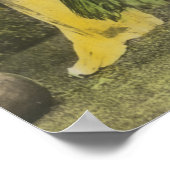 HawaiiHula-Tänzer in ColorHawaii Poster (Ecke)