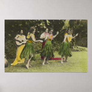 HawaiiHula Tänzer in ColorHawaii Poster